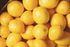 Lemon – product photo 1, product detail gallery