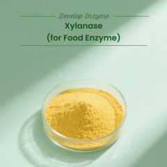 Food Grade Xylanase Enzyme Price Baking and Flour Improvement Xylanase - Beijing Develop Biotech Co., Ltd.