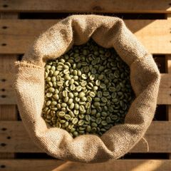 Premium Green Coffee Beans Wholesale | Bulk Arabica Coffee and Robusta Coffee Beans - Image 4