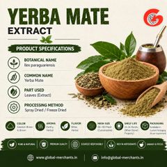 Premium Yerba Mate Extract – Natural Herbal Extract for Nutraceutical Applications - Image 1