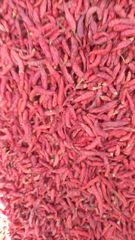 Whole Dried Red Chilli - Image 3