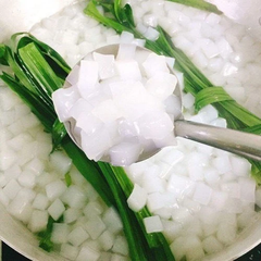 Raw Nata de Coco - Premium Coconut for Food Processing - Image 4