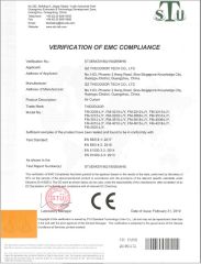 CE -FM32-35-40 certificate from GZ Theodoor Tech Co., Ltd.