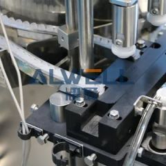 Hyaluronic Acid Injection Pfs Filling Machine - Image 4