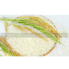 Premium Quality Long Grain Rice White Color Wholesale Cheap Price Asian Rice With 5% Broken Ratio Up To Standard - Image 1