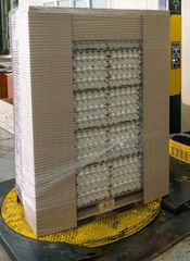 Fresh Class A Chicken/Hen Shell Eggs - Image 5