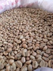 ROBUSTA COFFEE BEANS – product photo 1, product detail gallery