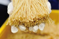 Taro 64G BBQ Flavor Thailand Originate Fish snack Dried fish Taste Spicy Content Spicy Brand Name Taro Address Thailand Storage Type - Image 2