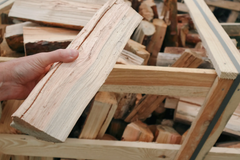 Top-quality bulk Birch Firewood - Image 2