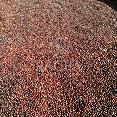 Java Arabica – product photo 4, product detail gallery