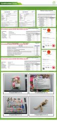 certificate certificate from Guangzhou Dikina Crafts Co., Ltd
