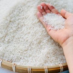 Best Seller! Vietnam rice ST25 specialty export rice 5%,15%,25% broken | Rice won the world's best and most delicious award in 2019 & 2023 - Image 3