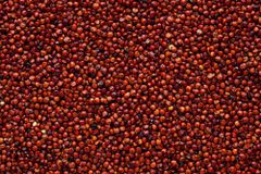 Red Quinoa Seeds, Regular Size, Purity - 99.9 %, Indian Origin - Image 4