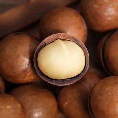 High Quality Macadamia Nuts Sweet Milky Flavor Nut Dried Fruit Wholesale Supply Whatsap +255787979235/ 255762500052 - Image 1