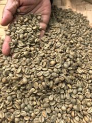 Arabic coffee Beans screen 16 to 18 – product photo 1, product detail gallery