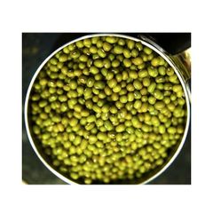 Fresh Mung Beans - Dried Mung Beans Export to EU, USA, Japan, UAE, etc - Canned Vigna Beans - Image 5