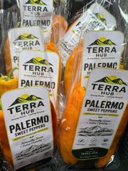 FRESH PALERMO VIETNAM - Image 2