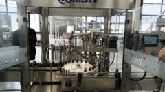 Rotary Pharmaceutical Vial Oral Liquid Bottle Filling Capping Machine - Image 6