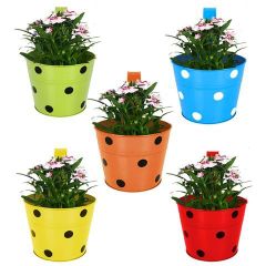 Exclusive quality metal planter pot Wholesale Indoor Outdoor Farmhouse decorative item customized size and sale - Image 4