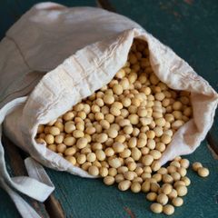 High Protein Soybeans Natural Beans For Food Production Buy Fast Delivery High Nutrition And Rich Protein Buy Fast Delivery Premium Quality Wholesale Naturally Ideal For Processing - Image 1