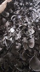 Coconut Shell Charcoal – product photo 1, product detail gallery