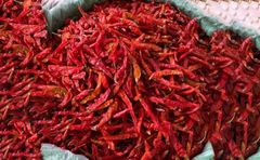 Premium Quality Dried Chilli Peppers For Wholesale Food Supply With Strong Flavor Bright Appearance And Reliable - Image 1