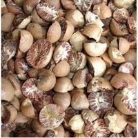Areca Nuts Split / betel nuts split - Image 2