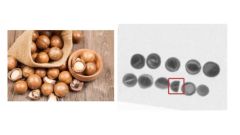Superior X-ray Inspection Scanner for Food and Beverage Industry - Image 3