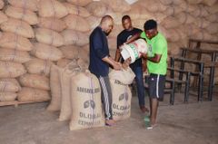 Cocoa Beans – product photo 4, product detail gallery