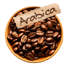 Arabica Coffee Arabica Coffee Price Portugal Washed Process Quality Arabica Green Coffee Beans Raw Beans Wholesale - Image 3