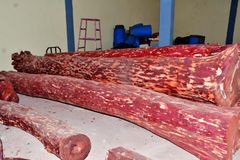 Red sandalwood Density High Oil Content High Grain Structure Fine Color Deep Blood-red Heartwood Color Strong Wood Type Red sandalwood - Image 2