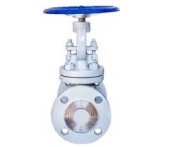 J41h-16c Cast Iron Globe Valve DN50 16kgs GB Manual 1Y Size DN50 Standard GB Origin China Pressure 16kgs Trademark HOMOR - Image 2