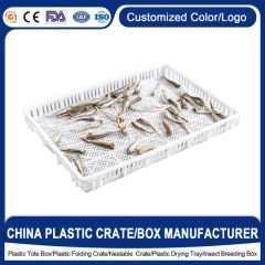 Stackable Plastic Drying Tray for Gummy Chocolates Confectionery Drying White Candy Tray with Compartments - Enlightening Plast Co., Ltd