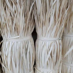 Corypha Palm Leaves - Dried Material from Vietnam for Traditional Handicrafts - Image 2