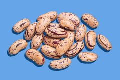 Pinto Beans-Long Type and Round Type – product photo 2, product detail gallery