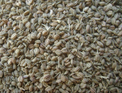 Ajwain - Image 5