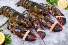 Lobster – product photo 1, product detail gallery