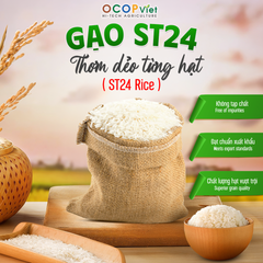 ST24 Rice - Image 1