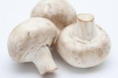 white mushroom Shape Rod Color White Size 5-6 cm Style FROZEN Certification ISO Brand Name Vdelta Type Oyster Mushroom Shelf Life 12 - Image 3