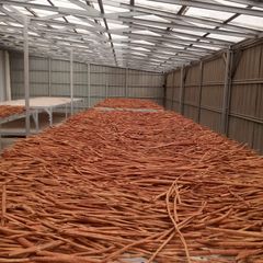 Cassia / Cinnamon Stick / Quill - Image 2