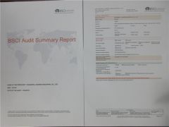 BSCI certificate from Qingdao Bagest Co., Ltd.