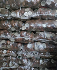 Dry Half Coconut – product photo 4, product detail gallery