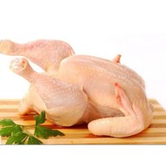 Fresh Frozen Chicken Whole Chicken and Cuts Vacuum Packed Long Shelf Life Ideal for Cooking and Processing – product photo 5, product detail gallery