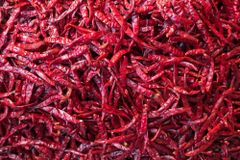 Red chilli – product photo 2, product detail gallery