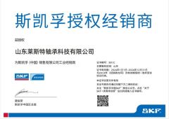 SKF Authorized Dealer certificate from Shandong Leicester Bearing Technology Co., Ltd.