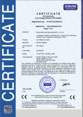 CE certificate from Rayborn Lighting Industry Co., Ltd.