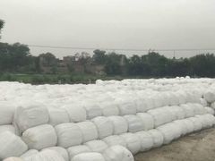 Corn Silage – product photo 8, product detail gallery