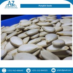 Rich Quality High Grade Pure Natural Organic Pumpkin Seeds Kernels from Top Supplier - Image 4