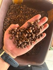 Premium Indonesian Roasted Robusta Coffee Beans Grade 1 - Image 3