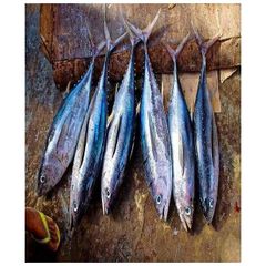 Origin Manufacturer Supply Factory Low Price Clean Frozen Seafood Product Skipjack Tuna Fish for Sale. - Image 2
